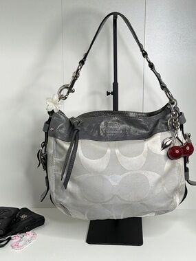 Coach Gray Signature Canvas Hobo Bag